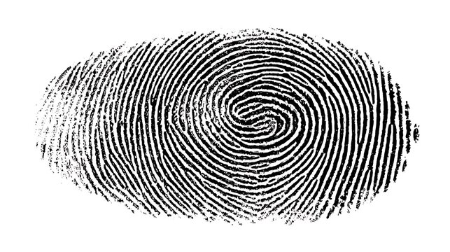 black fingerprint vector illustration isolated on the white backgraound