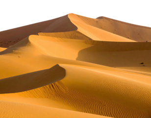 Sand dunes in a desert landscape with dramatic lighting, showing sweeping curves and textures