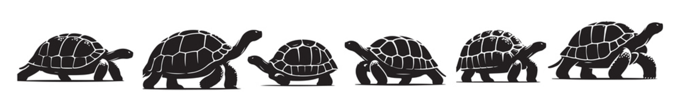 black illustration of a tortoise logo icon in silhouette