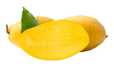 Two ripe yellow mango fruits and a half with green mango leaves and water droplets in stack isolated with clipping path in png file format