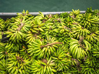A large pile of green plantains on a boat