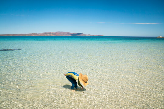 A young girl in wetsuit and sun hat looks into shallow, clear sea.