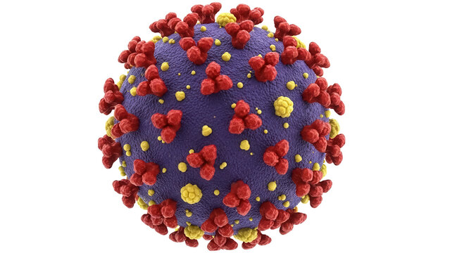 Coronavirus virion isolated PNG, detailed 3D render of COVID-19 virus particle with spikes, medical visualization for science and healthcare - Powered by Adobe