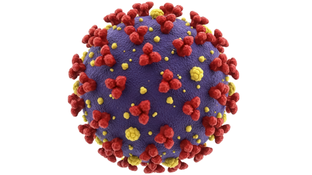 Coronavirus virion isolated PNG, detailed 3D render of COVID-19 virus particle with spikes, medical visualization for science and healthcare