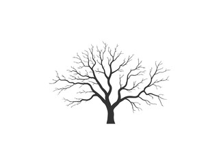 Leafless tree silhouette vector