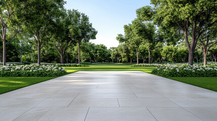 Sunlit paved pathway tree lawn flowerbed sky