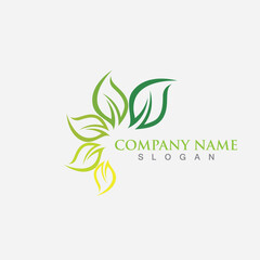 Leaf logo and symbol template