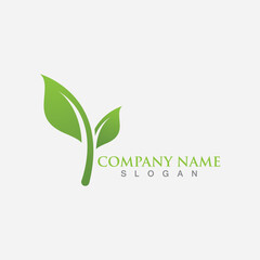 Leaf logo and symbol template