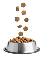 Kibble Pieces Falling Into a Stainless Steel Pet Food Bowl with Transparent Background