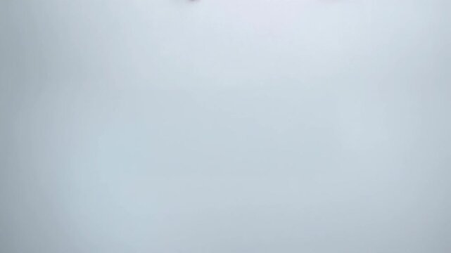 Happy Santa leans on large white banner with both hands visible above edge against green background creating bright christmas layout perfect for holiday web headers posters and cards