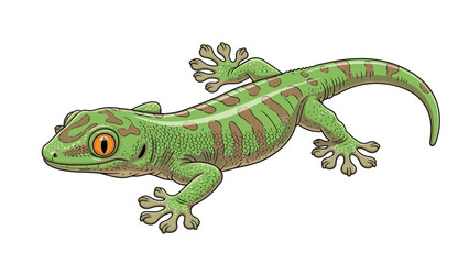 Fototapeta premium Colorful gecko resting calmly on white background with copy space 