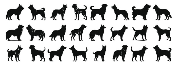 Fototapeta premium alabai dog silhouette clipart bundle