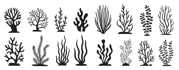 black coral reef and seaweed silhouette set on white background © Huool