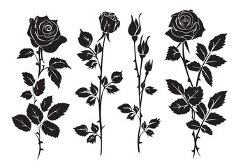 black silhouette set of rose with leaves flower black