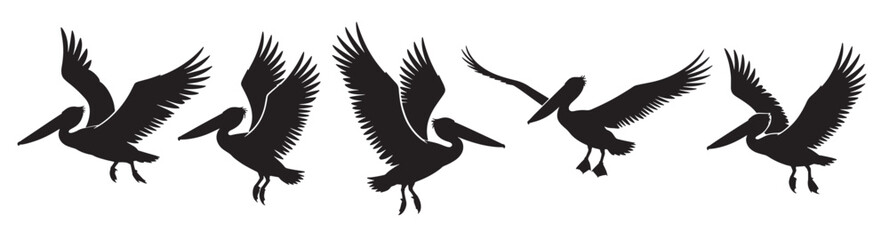 collection of pelican flying silhouettes © Huool