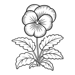 pansy coloring page line art