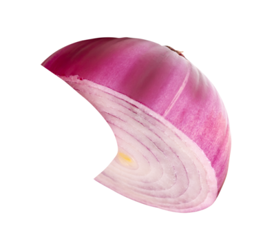 Top view of fresh red or purple onion bulb in half or slice in crescent shape isolated with clipping path in png file format
