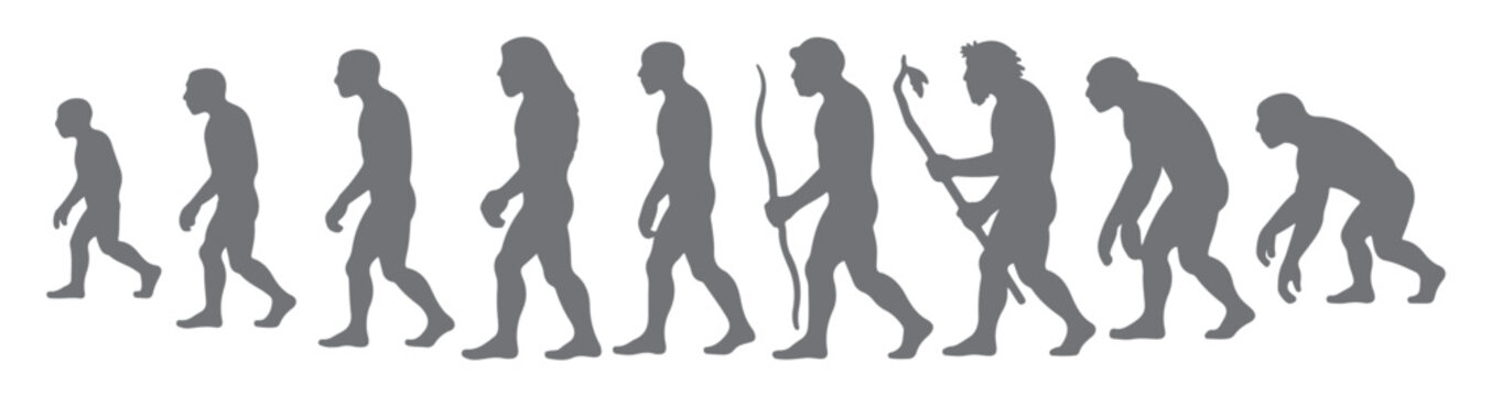 gray scale human evolution silhouettes progression ape to
