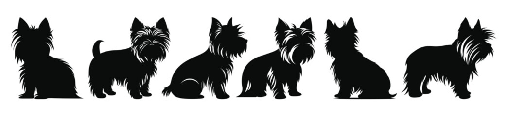 yorkshire terrier dog silhouettes vector set silhouette