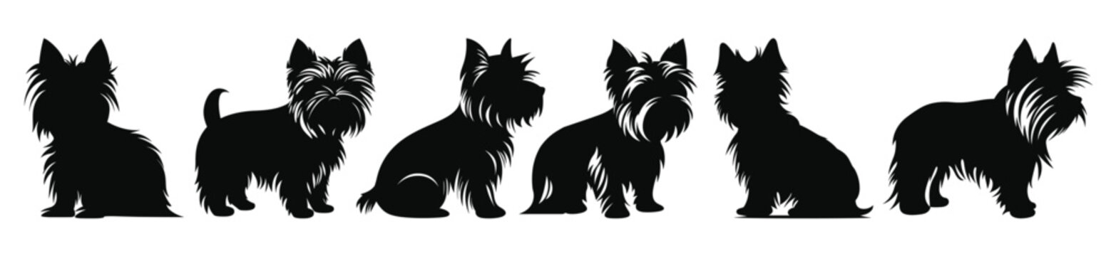 yorkshire terrier dog silhouettes vector set silhouette