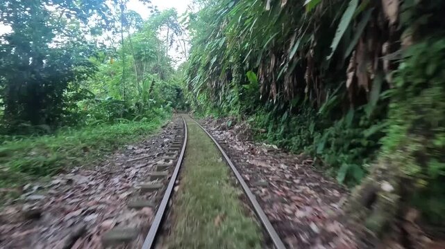 An immersive point-of-view shot while riding a local "brujita" ("little witches") cart along disused railway tracks, moving deeper into the lush San Cipriano rainforest