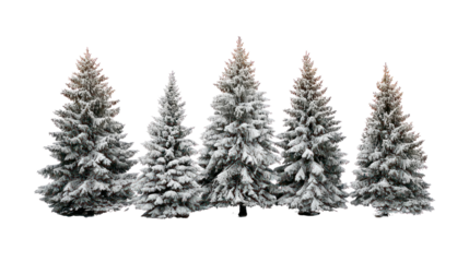 Group of snowy pine trees with glowing tops isolated on transparent background