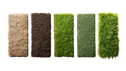 Five unique samples of grass grown in different soil types arranged on transparent background