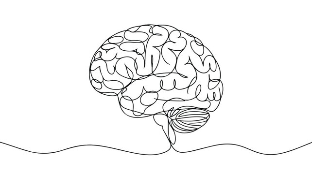 A stark black and white minimalist line drawing of the human brain showcasing intricate neural pathways and anatomical details