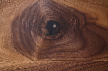 Real black walnut wood texture with natural grain