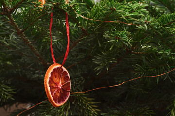 Closeup christmas tree with dried orange hanging on it