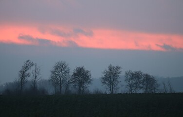 red Streak on the Horizon