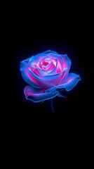 Holographic Rose Bloom