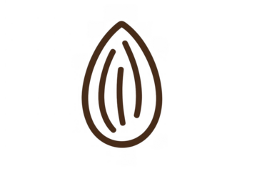 Almond minimal brown outline drawing icon. Healthy food symbol isolated on a transparent background, depicting a single nut