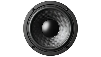 A close-up view of a black speaker driver against a white background