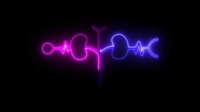 Glowing Human kidney icon animation. This renal system symbol is a neon kidney 4k animation. The kidney was divided into the right and left halves icon animated. heart .