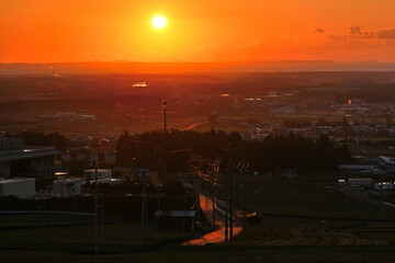 茶畑から昇る朝日