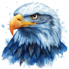 Watercolor vector illustration of Bald Eagle, isolated on a white background.