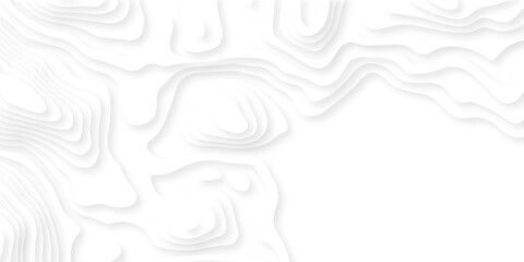 Pattern with lines the stylized height of the topographic map contour in lines and contours isolated on layers. White topography curve lines map isolated on white background