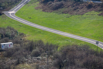 Quite road with autumn pine trees and grassland on the side.
