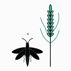 calluna vulgaris firefly line art vector