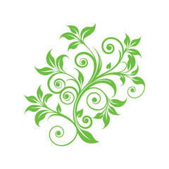 Green floral vine swirl ornament with leaves on white background Vector
