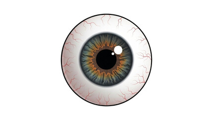 Detailed anatomical illustration of a realistic human eyeball, highlighting the intricate iris, pupil, and visible blood vessels