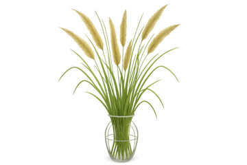 Fototapeta premium Pampas grass bouquet in a glass vase showing fluffy reeds and green stems on transparent background