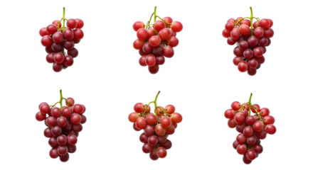 Six bunches of red grapes arranged view on transparent background