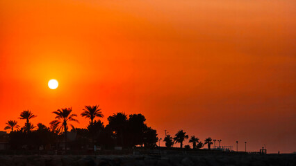 Vibrant, warm sunset over a beach, silhouetting a row of palm trees and the distant shoreline against the brilliant orange sky.