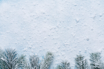 Winter holiday background. Christmas Background with Snow and Frosted Pine Branches,  Copy Space