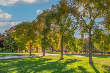 Sunny autumn park landscape with sun flare through yellowing trees, paved path, and green grass with copy space