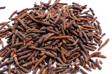 Long pepper (Piper longum), a spice used in traditional medicine and cooking, known for its pungent flavor.