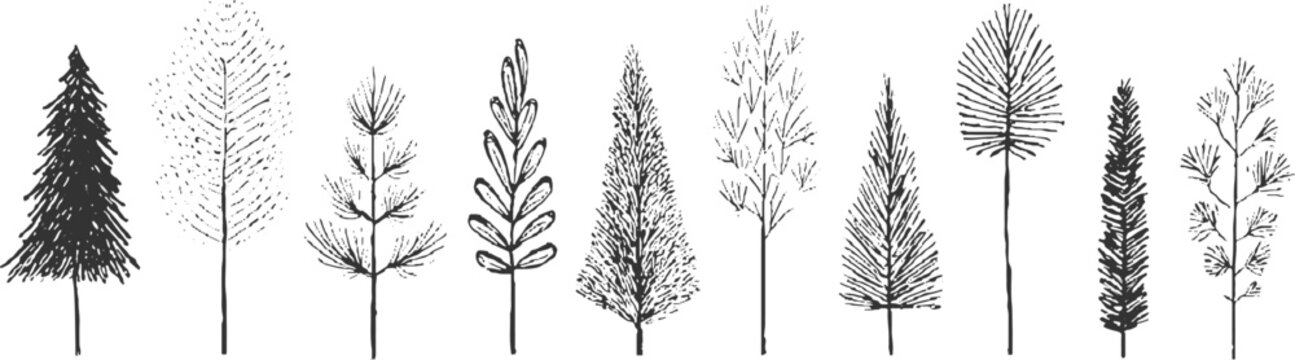 Collection of black ink hand drawn stylized trees and branches on white background plant nature