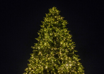 golden christmas tree
